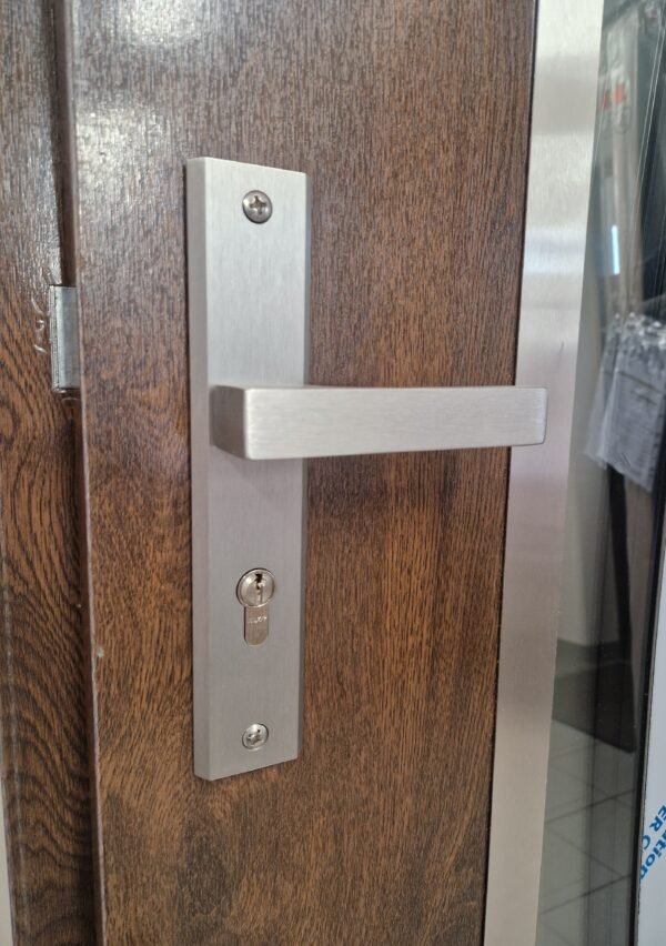 Durys 4 4 Durys namui su stiklu